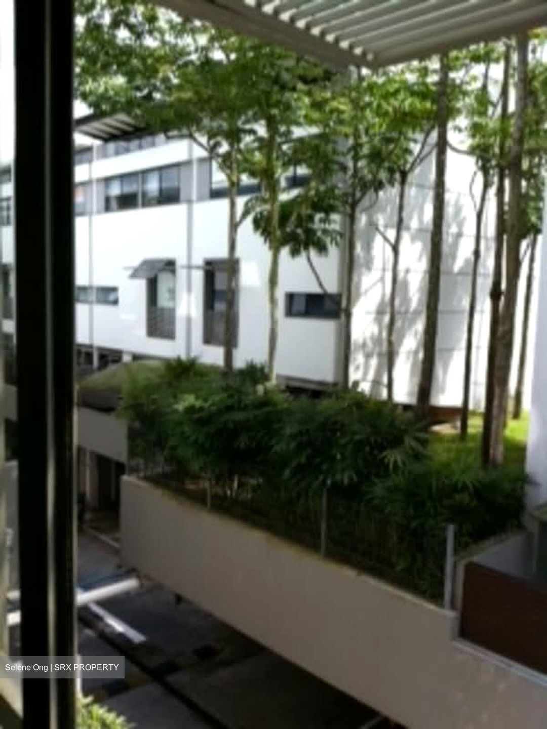 The Teneriffe (D10), Terrace #566806531
